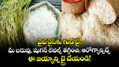 వైట్ రైస్‌కు గుడ్ బై!  మీ బరువు, షుగర్ లెవల్స్‌ తగ్గించి, ఆరోగ్యాన్నిచ్చే ఈ బియ్యాన్ని ట్రై చేయండి!