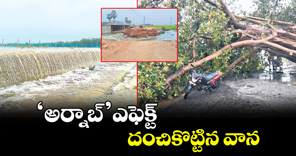సూర్యాపేట: ‘అర్నాబ్’ ఎఫెక్ట్.. దంచికొట్టిన వాన – telangana సూర్యాపేట: ‘అర్నాబ్’ ఎఫెక్ట్.. దంచికొట్టిన వాన – telangana