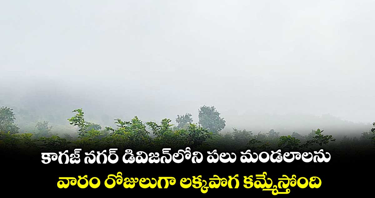 కాగజ్ నగర్ డివిజన్లోని పలు మండలాలను వారం రోజులుగా లక్కపొగ కమ్మేస్తోంది
