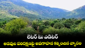 వెలుగు వార్తకు స్పందన : లెటర్‌‌ టు ఎడిటర్‌‌ : అడవుల పరిరక్షణపై అవగాహన కల్పించిన  వ్యాసం
