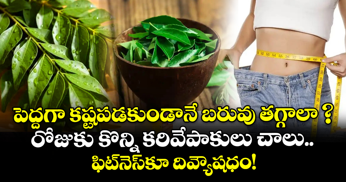 పెద్దగా కష్టపడకుండానే బరువు తగ్గాలా ? రోజుకు కొన్ని కరివేపాకులు చాలు.. ఫిట్‌నెస్‌కూ దివ్యౌషధం!