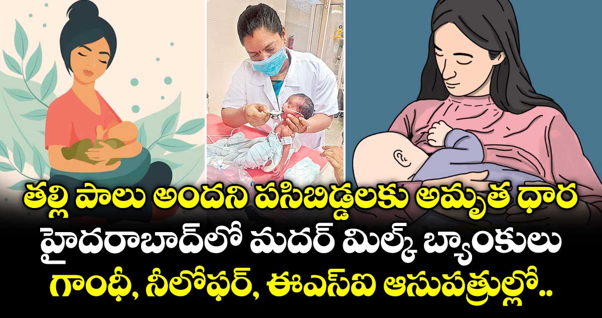 తల్లి పాలు అందని పసిబిడ్డలకు అమృత ధార.. హైదరాబాద్⁫లో మదర్ మిల్క్ బ్యాంకులు.. గాంధీ, నీలోఫర్, ఈఎస్ఐ ఆసుపత్రుల్లో..