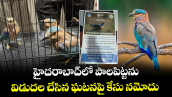 హైదరాబాద్⁪లో పాలపిట్టను విడుదల చేసిన ఘటనపై కేసు నమోదు 
