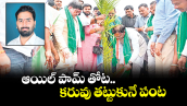 వెలుగు స్పెషల్: ఆయిల్ పామ్ తోట కరువు తట్టుకునే పంట 