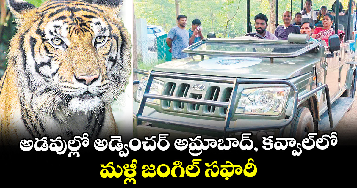 అడవుల్లో  అడ్వెంచర్‌‌‌‌‌‌‌‌‌‌‌‌‌‌‌‌  అమ్రాబాద్, కవ్వాల్‌‌‌‌‌‌‌‌‌‌‌‌‌‌‌‌లో మళ్లీ జంగిల్ సఫారీ