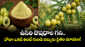  Health Tips: ఉసిరి ఔషధాల గని.. రోజూ ఒకటి తింటే గుండె జబ్బులు సైతం మాయం!