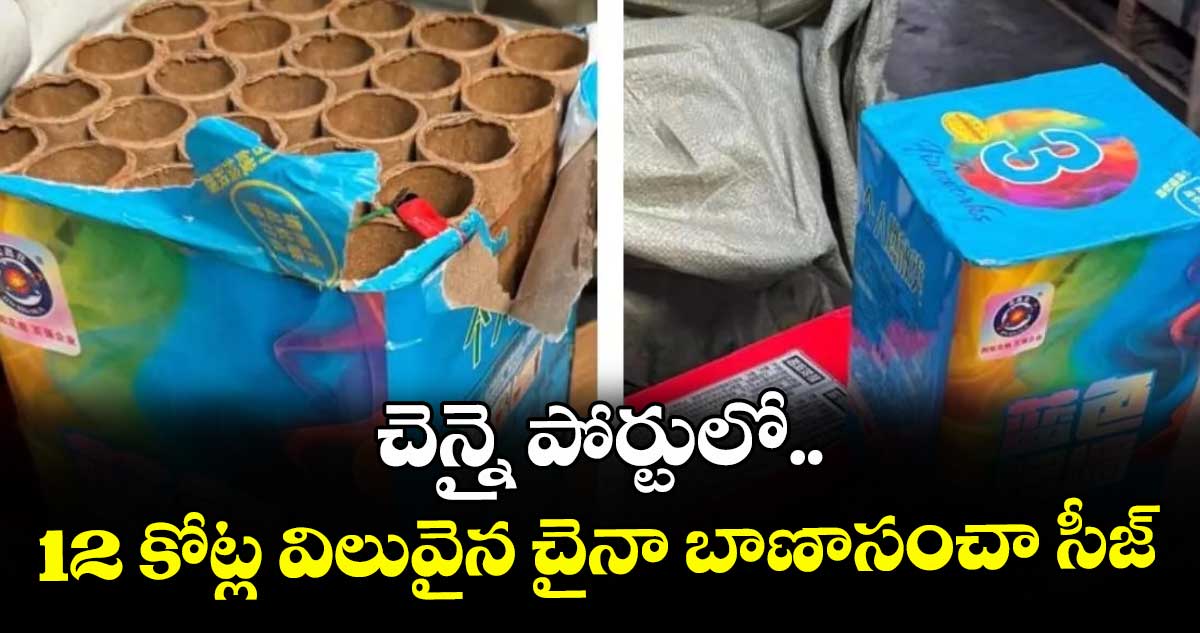 చెన్నై పోర్టులో 12 కోట్ల విలువైన చైనా బాణాసంచా సీజ్