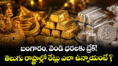 బంగారం, వెండి ధరలకు బ్రేక్! తెలుగు రాష్ట్రాల్లో రేట్లు ఎలా ఉన్నాయంటే ?