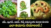 Healthy Food: కొత్తిమీర పొంగల్.. బీపీ.. షుగర్.. లివర్.. కిడ్నీ సమస్యలకు మంచి మందు.. ఎలా తయారు చేయాలంటే..!