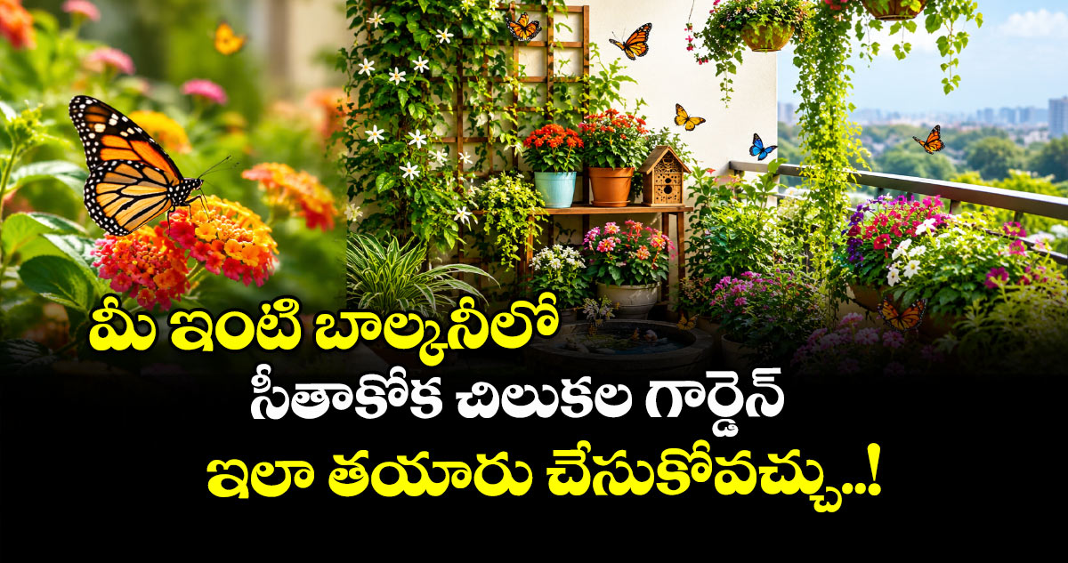 మీ ఇంటి బాల్కనీలో సీతాకోక చిలుకల గార్డెన్ ఇలా తయారు చేసుకోవచ్చు..!
