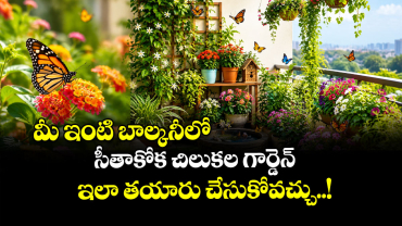 మీ ఇంటి బాల్కనీలో సీతాకోక చిలుకల గార్డెన్ ఇలా తయారు చేసుకోవచ్చు..!