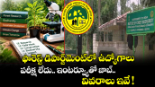ఫారెస్ట్ డిపార్ట్‌మెంట్‌లో ఉద్యోగాలు: పరీక్ష లేదు.. ఇంటర్వ్యూతో జాబ్.. వివరాలు ఇవే !