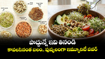 Good Food:  పొద్దున్నే ఇవి తినండి..  కావలసినంత బలం.. పుష్కలంగా ఇమ్యూనిటీ పవర్