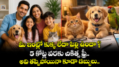 మీ ఇంట్లో కుక్క లేదా పిల్లి ఉందా ?  5 కోట్ల వరకు చికిత్స ఫ్రీ.. అవి తప్పిపోయినా కూడా డబ్బులు..