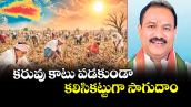 వెలుగు స్పెషల్: కరువు కాటు పడకుండా..  కలిసికట్టుగా సాగుదాం..
