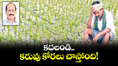 వెలుగు స్పెషల్: కదలండి  కరువు కోరలు చాస్తోంది! 