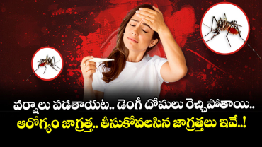 Health alert: వర్షాలు పడతాయట.. డెంగీ దోమలు రెచ్చిపోతాయి.. ఆరోగ్యం జాగ్రత్త.. తీసుకోవలసిన  జాగ్రత్తలు ఇవే..!