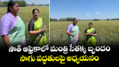 సౌత్ ఆఫ్రికాలో మంత్రి సీతక్క బృందం.. సాగు పద్ధతులపై అధ్యయనం