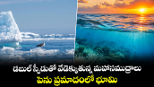 డబుల్ స్పీడుతో వేడెక్కుతున్న మహాసముద్రాలు.. పెను ప్రమాదంలో భూమి: కోపర్నికస్ రిపోర్ట్
